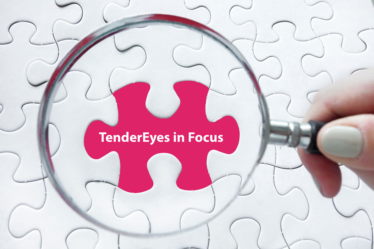 TenderEyes Bid Management Software Overview