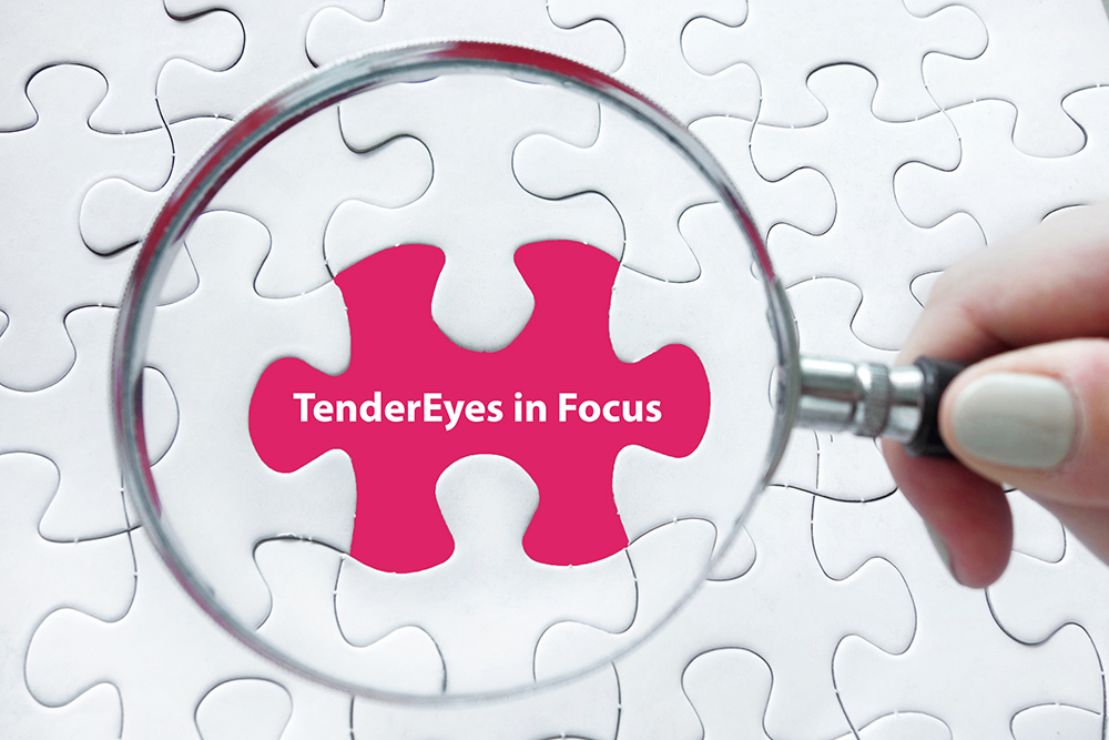The Ideal Business Process Management Platform for Tenders - TenderEyes Software
